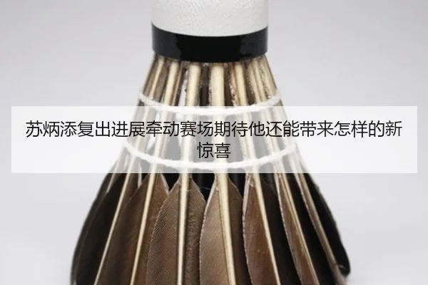 img_1781136724313_24_1_103.jpg